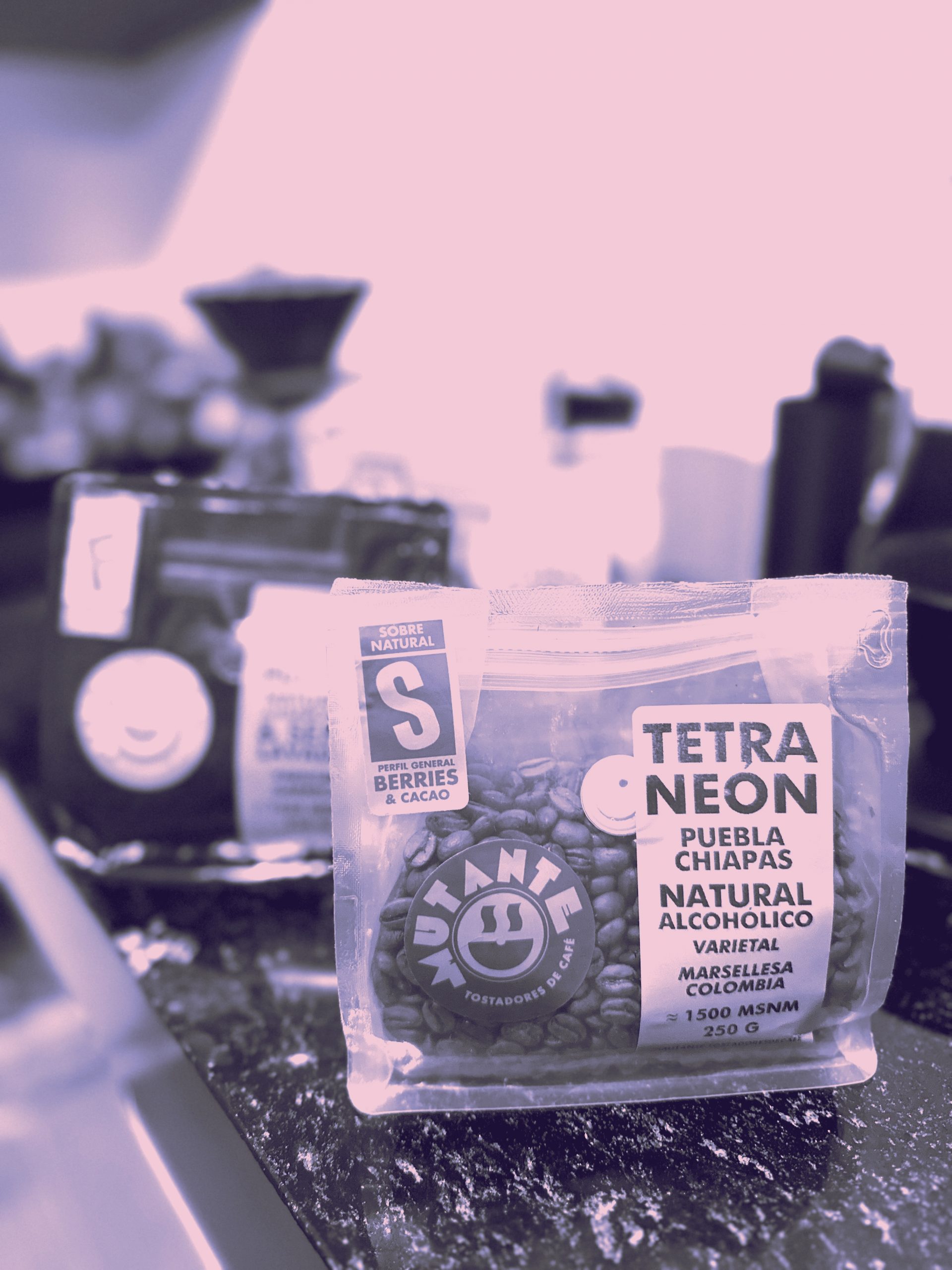 Tetra Neón